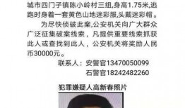 丹东凤城爆料案件最新