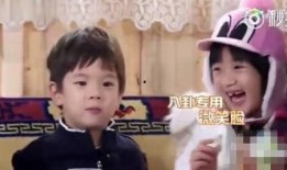 吃瓜娱乐八卦最新版,最新八卦爆料，揭秘明星幕后故事