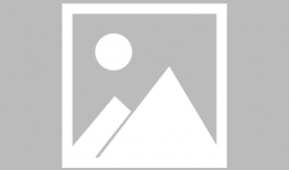 东莞虎门爆料新闻网,聚焦虎门最新动态，解码城市脉搏